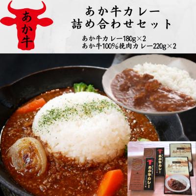 ふるさと納税 高森町 あか牛カレー詰め合せセット(あか牛カレー180×2、あか牛100%挽肉カレー220g×2)(高森町)