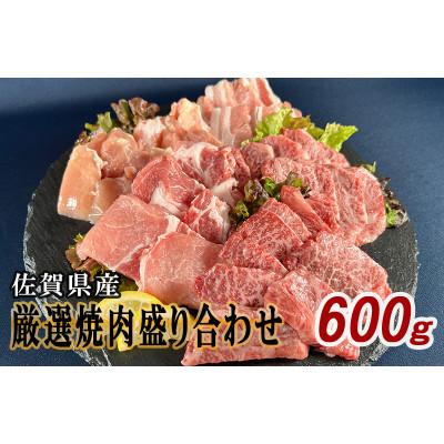 ふるさと納税 伊万里市 佐賀県産厳選5種焼肉盛り合わせ 600g(2〜3人前)
