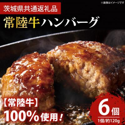 ふるさと納税 鹿嶋市 常陸牛100% ハンバーグ 約120g×6個