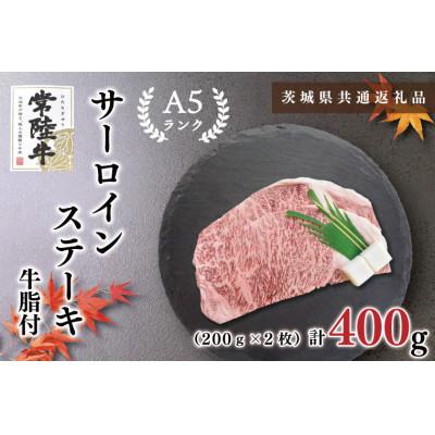 ふるさと納税 鹿嶋市 [常陸牛A5ランク ]サーロインステーキ 約400g (約200g×2枚)
