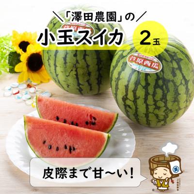 ふるさと納税 あわら市 [先行予約]小玉すいか 愛娘(まなむすめ) 2kg以上 2玉入 &lt;皮際まで抜群に甘い&gt;
