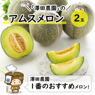 ふるさと納税 あわら市 [先行予約]アムスメロン(1.3kg以上 2玉入) とろけるような果肉が絶品!