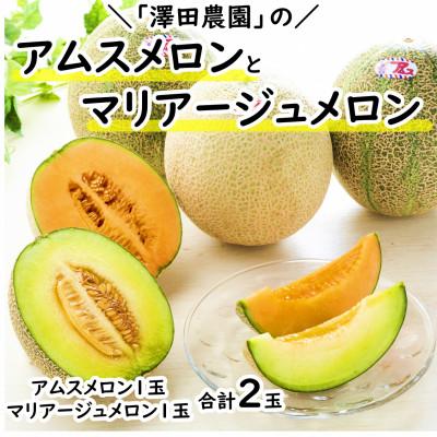 ふるさと納税 あわら市 [先行予約]アムス・マリアージュメロン 2種(1.3kg以上2玉入)農園1番のおすすめ!