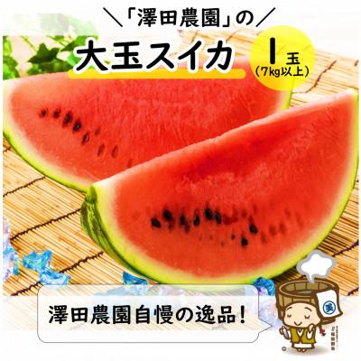 ふるさと納税 あわら市 [先行予約]大玉スイカ(7kg以上 1玉入) 皮際まで甘い!シャリ感も抜群!