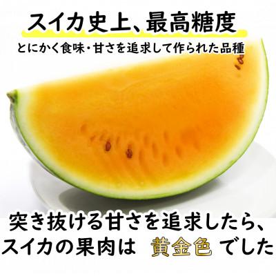 食品 産地直送！訳あり黄色大玉スイカ2玉入り、箱込み18キロ前後