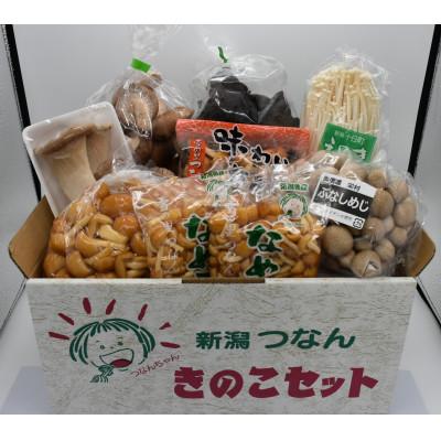 ふるさと納税 津南町 [津南町森林組合]きのこセット
