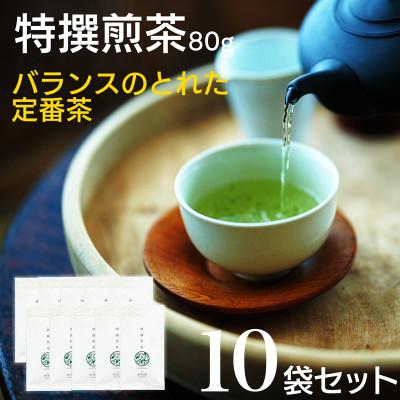 ふるさと納税 新富町 宮崎日本茶専門店 特撰煎茶80g 10本セット