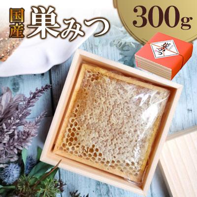 ふるさと納税 八女市 国産 巣みつ 300g