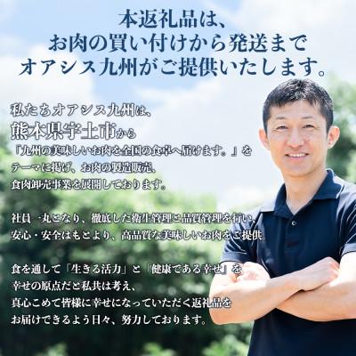 ふるさと納税 宇土市 <熊本地震復興応援>あか牛 切り落とし 1kg (250g×4パック) |  | 03