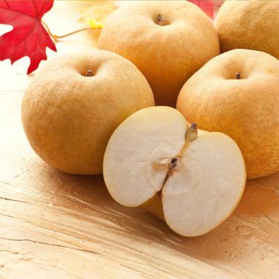 ふるさと納税 若桜町 [訳あり]新興梨 4kg