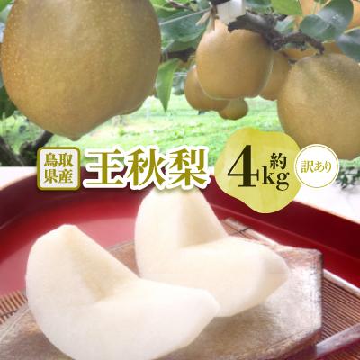 ふるさと納税 若桜町 [訳あり]王秋梨 4kg