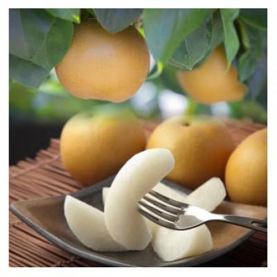 ふるさと納税 若桜町 [品種はおまかせ]旬の赤梨セット 3kg