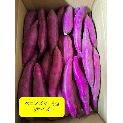 ふるさと納税 神崎町 [12月中旬〜翌年1月出荷]神崎町産 ベニアズマ「さつまいも」Sサイズ 5kg