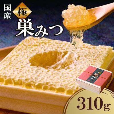 ふるさと納税 広川町 国産　極巣みつ　310g(広川町) | 