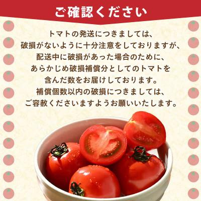 ふるさと納税 あわら市 【先行予約】高糖度ミディトマト越のルビー 約1kg 5パック(4パック+品質補償1パック) |  | 02