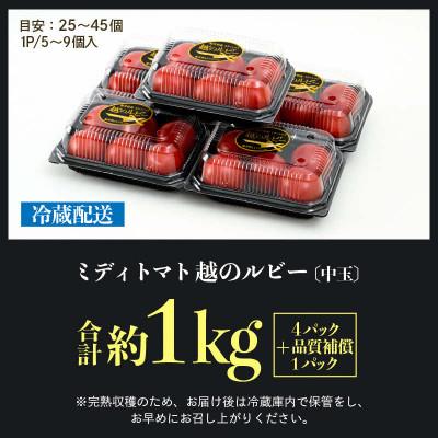 ふるさと納税 あわら市 【先行予約】高糖度ミディトマト越のルビー 約1kg 5パック(4パック+品質補償1パック) |  | 03