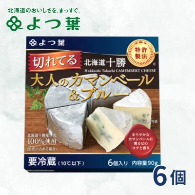 ふるさと納税 鹿追町 北海道十勝産 よつ葉 切れてる大人のカマンベール&amp;ブルー 6個