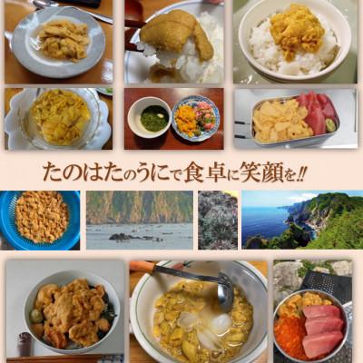 ふるさと納税 田野畑村 【令和8年6月〜順次発送】生うに200g!!　断崖と荒波で育つ　三陸・たのはた産(1本)_1