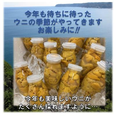 ふるさと納税 田野畑村 【令和8年6月〜順次発送】生うに200g!!　断崖と荒波で育つ　三陸・たのはた産(1本)_2