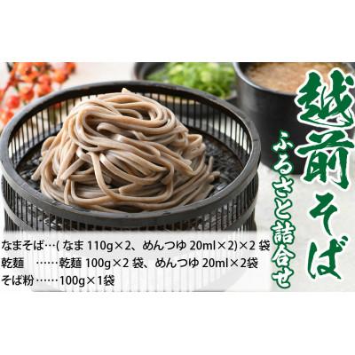 ふるさと納税 福井市 越前そばふるさと詰合せ 合計6食