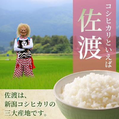 ふるさと納税 佐渡市 令和7年産 佐渡産コシヒカリ米「朱鷺と暮らす郷