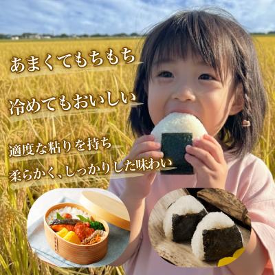 ふるさと納税 佐渡市 令和7年産 佐渡産コシヒカリ米「朱鷺と暮らす郷