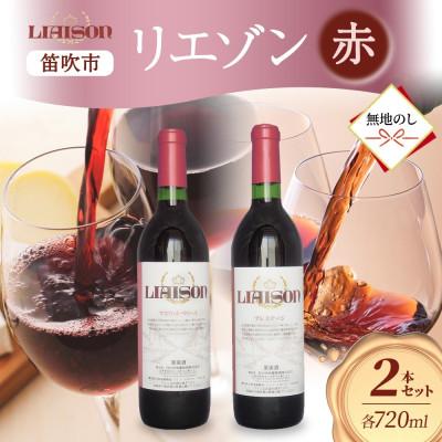 ふるさと納税 笛吹市 [無地熨斗]赤ワイン Liaison 2種 飲み比べ 各1本セット 日川中央葡萄酒 山梨県笛吹市