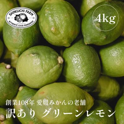 ふるさと納税 八幡浜市 [防腐剤・ワックス不使用]愛媛県産「訳あり」グリーンレモン 4kg[C70-53]