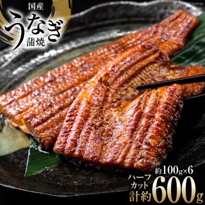 ふるさと納税 吉田町 静岡県産鰻蒲焼ハーフカット 約100g×6パック