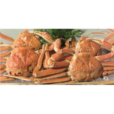 ふるさと納税 若桜町 [魚倉]松葉ガニ ボイル おまかせセット 3kg訳あり