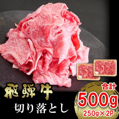 ふるさと納税 多治見市 飛騨牛 切り落とし500g (250g×2)