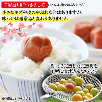 ふるさと納税 御坊市 【ご家庭用】はちみつ梅干し 1.2kg(紀州南高梅) 塩分約7% 和歌山県産 |  | 01