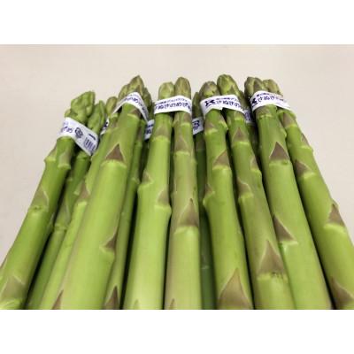 ふるさと納税 観音寺市 さぬきのめざめ(アスパラガス)春芽 500g