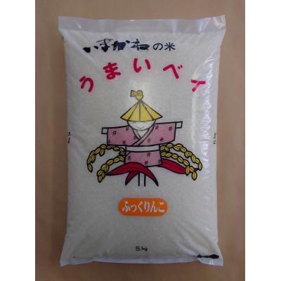 ふるさと納税 今金町 令和7年産 今金産 ふっくりんこ精米 5kg