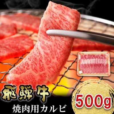 ふるさと納税 多治見市 飛騨牛 焼肉用カルビ 500g