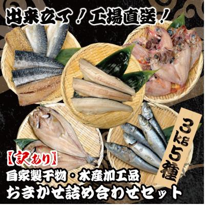 ふるさと納税 大網白里市 【訳あり】出来立て!工場直送! 自家製干物・水産加工品おまかせ詰め合わせセット 5種　3kg | 
