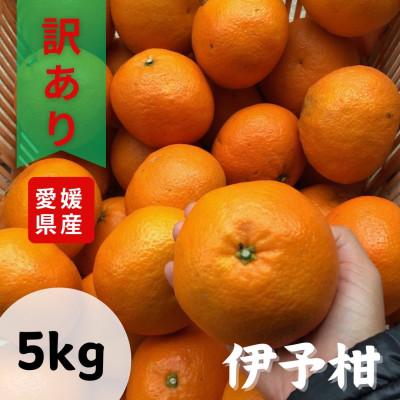 ふるさと納税 松山市 訳あり不揃いいよかん 5kg