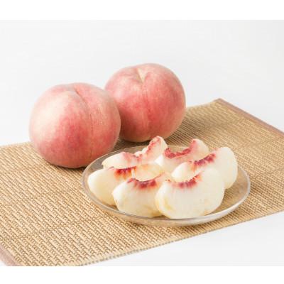 ふるさと納税 伊達市 大玉固め さくら白桃 福島県伊達市産 約2kg(4〜7玉)