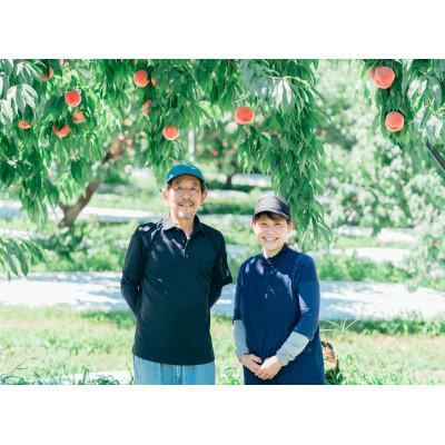 ふるさと納税 伊達市 大玉固め さくら白桃 福島県伊達市産 約2kg(4〜7玉)の画像