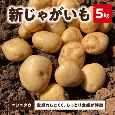 ふるさと納税 知名町 じゃがいも ニシユタカ(5kg)