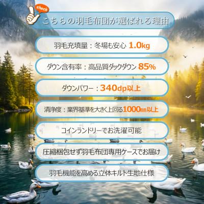 ふるさと納税 広川町 【訳あり】洗える羽毛本掛け布団85%1.0kgシングル(無地アイボリー)【筑後国の羽毛ふとん】 |  | 01