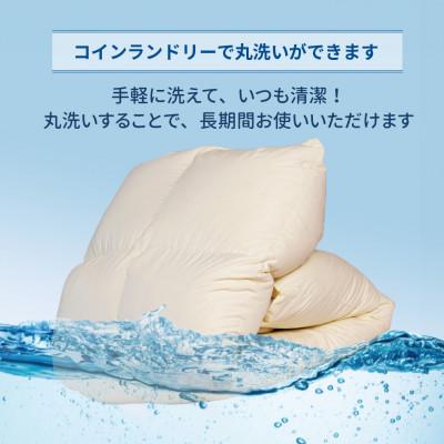 ふるさと納税 広川町 【訳あり】洗える羽毛本掛け布団85%1.0kgシングル(無地アイボリー)【筑後国の羽毛ふとん】 |  | 03