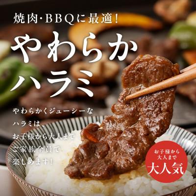 ふるさと納税 泉佐野市 やわらかハラミ 1.5kg 特製旨タレ漬け 焼肉用【氷温熟成×特製旨ダレ】mrz0478 |  | 01