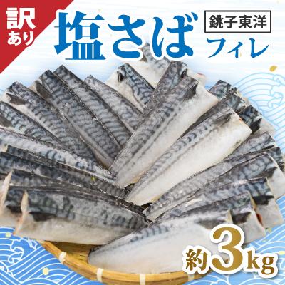 ふるさと納税 銚子市 [訳あり]塩鯖(冷凍)3kg 銚子東洋のフィレ 規格外