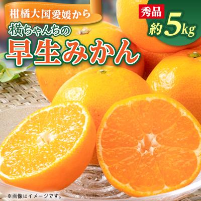 ふるさと納税 八幡浜市 厳選品!! 横ちゃんちの早生みかん 約5kg[C84-5]