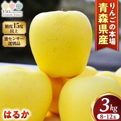 ふるさと納税 三戸町 蜜センサー選別高級りんご[はるか]約3kg(8〜12玉)[2026年産・先行]12月上〜1月上旬発送