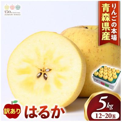 ふるさと納税 三戸町 [訳あり 高級りんご[はるか]約5kg(12〜20玉)2026年産・先行予約]12月上〜1月中旬発送
