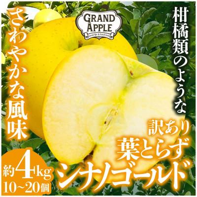 ふるさと納税 藤崎町 シナノゴールド 訳あり 約4kg(10〜20個)