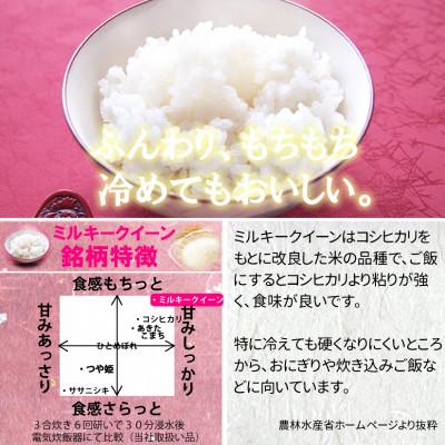ふるさと納税 村田町 令和6年産 宮城県産ミルキークイーン 精米10kg