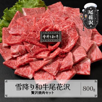 ふるさと納税 尾花沢市 雪降り和牛尾花沢 牛肉まつり 贅沢焼肉セット ランプ・イチボ・カタ・ロース 400g×2 計800g